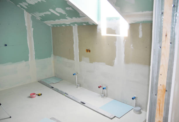 Best Black Mold Removal  in Ellisville, MS