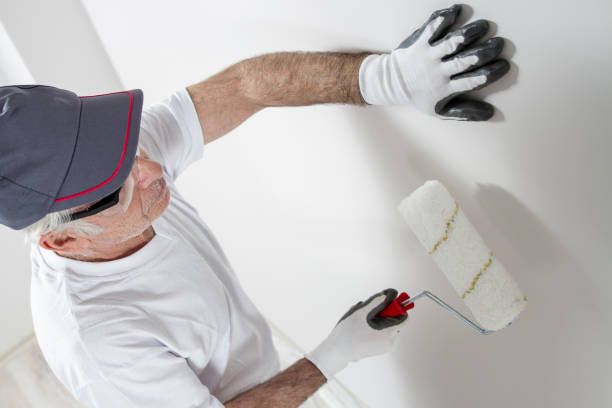 Best Commercial Mold Inspection  in Ellisville, MS