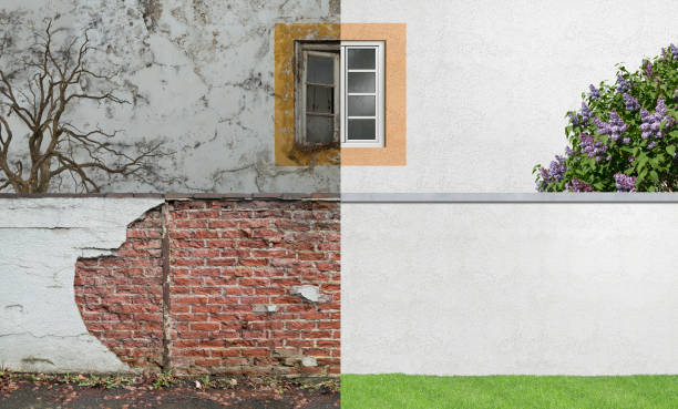 Best Black Mold Removal  in Ellisville, MS