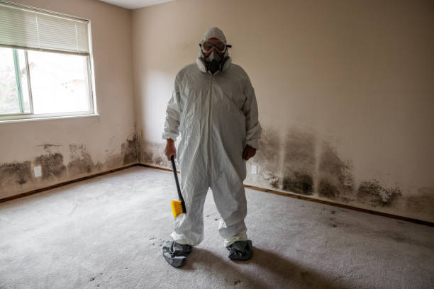 Best Forensic Mold Investigation  in Ellisville, MS