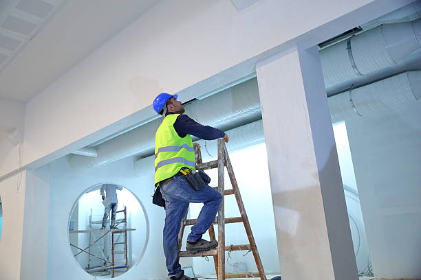 Best Mold Odor Removal Services  in Ellisville, MS