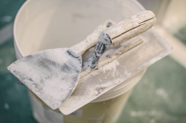 Best Residential Mold Inspection & Testing  in Ellisville, MS