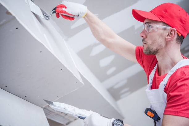 Best Crawl Space Mold Remediation  in Ellisville, MS