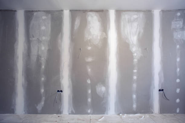 Reliable Ellisville, MS Mold Removal Solutions