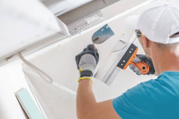 Best HVAC Mold Inspection and Cleaning  in Ellisville, MS